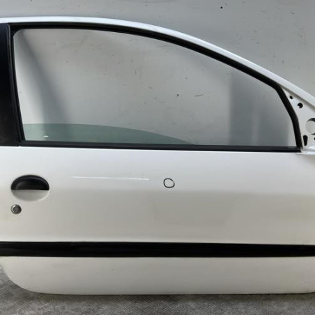 Porte avant droit PEUGEOT 206+ Photo n°1