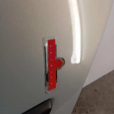Porte arriere gauche RENAULT SCENIC 2