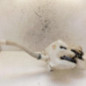 Vase de lave glace CITROEN C4 GRAND PICASSO 1