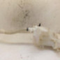 Vase de lave glace CITROEN C4 GRAND PICASSO 1