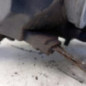 Optique avant principal droit (feux)(phare) RENAULT CLIO 2