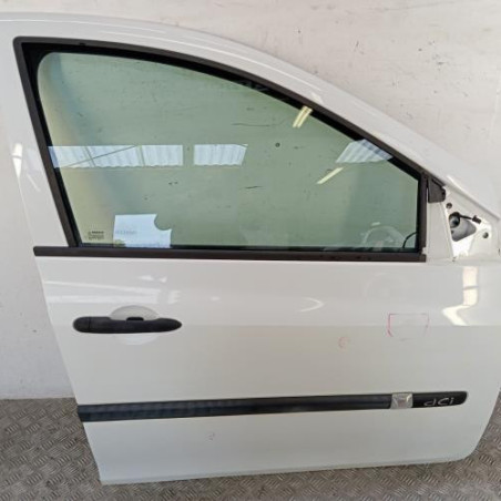 Porte avant droit RENAULT CLIO 3 Photo n°1