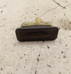 Poignee hayon RENAULT CLIO 3 Photo n°1