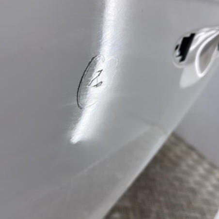 Porte arriere gauche VOLKSWAGEN PASSAT 6