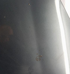 Capot CITROEN BERLINGO 2 Photo n°3