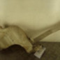Vase de lave glace PEUGEOT 307