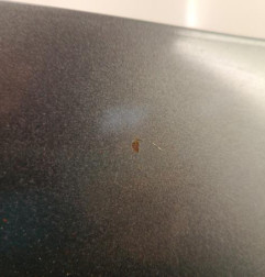 Capot TOYOTA VERSO Photo n°3