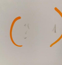 Porte arriere droit SKODA FABIA 2 Photo n°3