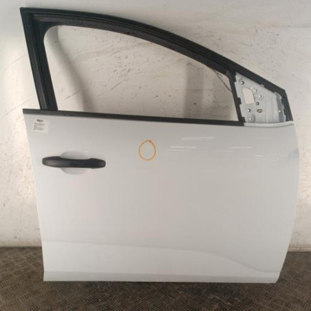 Porte avant droit DACIA SANDERO 3 Photo n°1