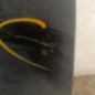 Porte avant droit RENAULT TWINGO 2