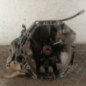 Boite de vitesses RENAULT CLIO 3