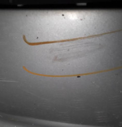 Pare choc avant PEUGEOT 307 Photo n°5