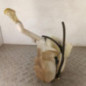 Vase de lave glace RENAULT LAGUNA 3