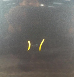 Porte arriere gauche RENAULT MEGANE 4