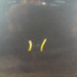 Porte arriere gauche RENAULT MEGANE 4