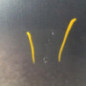 Porte avant droit CITROEN C4 2