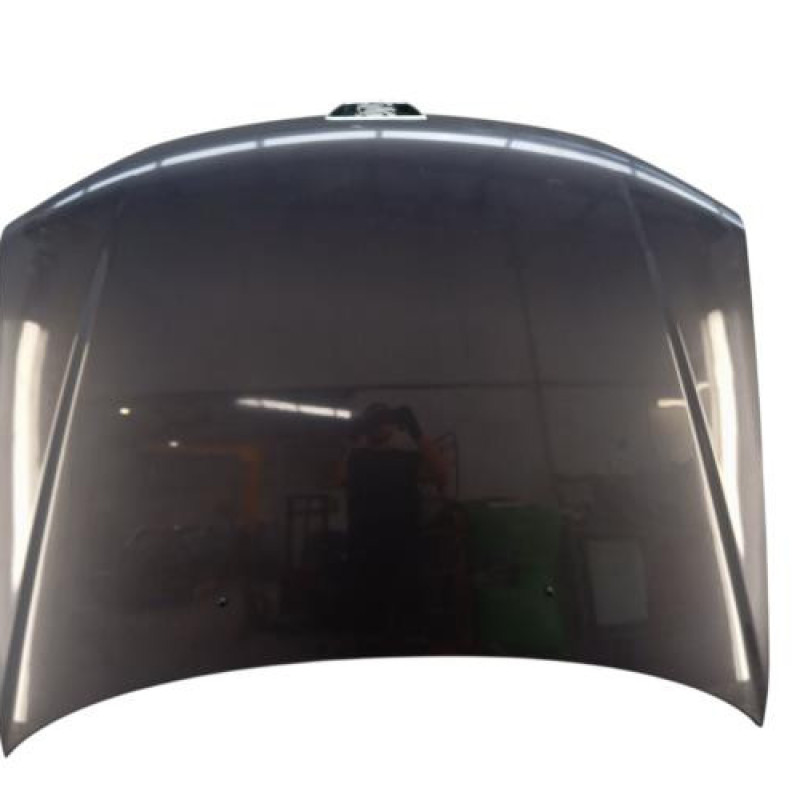 Capot PEUGEOT 306 Capot PEUGEOT 306