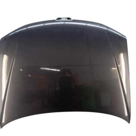 Capot PEUGEOT 306 Photo n°1