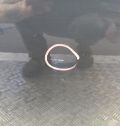 Porte arriere gauche PEUGEOT 308 2 SW Photo n°5