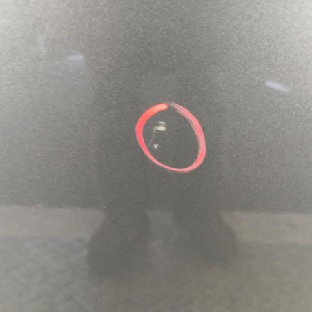 Porte arriere gauche AUDI Q3 1