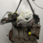 Moteur PEUGEOT 106