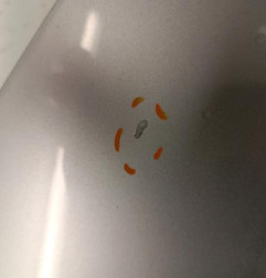 Capot OPEL ZAFIRA B Photo n°5