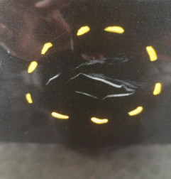 Porte arriere droit DACIA SANDERO 1 Photo n°4