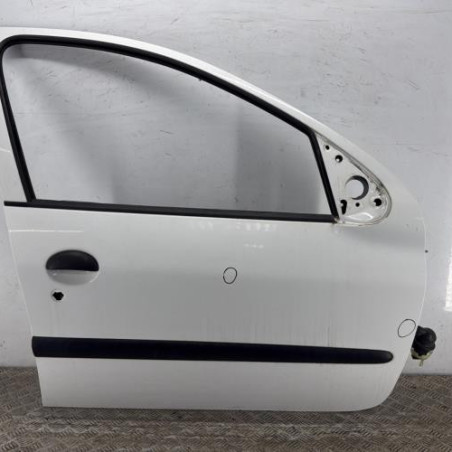 Porte avant droit PEUGEOT 206+ Photo n°1