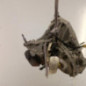 Boite de vitesses RENAULT CLIO 4