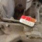 Boite de vitesses RENAULT MEGANE 1