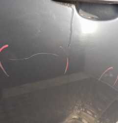 Porte arriere gauche OPEL ZAFIRA B Photo n°3