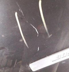 Aile avant gauche RENAULT SCENIC 3