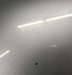 Capot VOLKSWAGEN GOLF PLUS Photo n°5