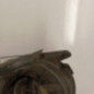 Optique avant principal droit (feux)(phare) CITROEN C3 PLURIEL