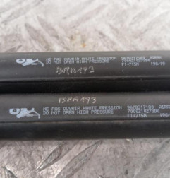 Verin de coffre PEUGEOT 2008 1 Photo n°3