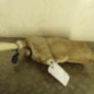 Vase de lave glace PEUGEOT 206