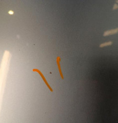 Capot SKODA OCTAVIA 3