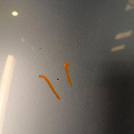 Capot SKODA OCTAVIA 3