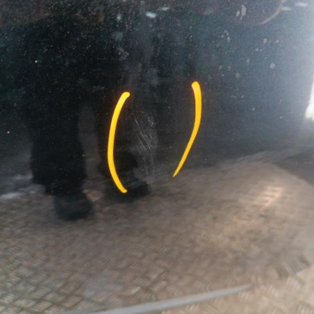 Porte avant droit RENAULT SCENIC 3