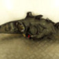 Optique avant principal droit (feux)(phare) PEUGEOT 207