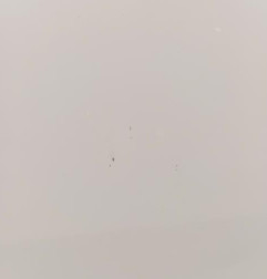 Porte arriere droit DACIA DUSTER 1 Photo n°5