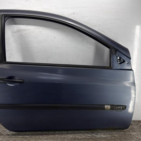 Porte avant droit RENAULT CLIO 3 Photo n°1