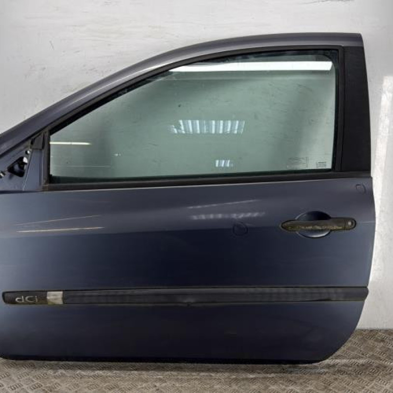 Porte avant gauche RENAULT CLIO 3
