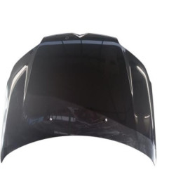 Capot CITROEN C5 2 Photo n°1