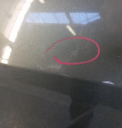 Porte avant gauche RENAULT MODUS Photo n°3