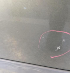 Porte avant gauche RENAULT MODUS Photo n°4