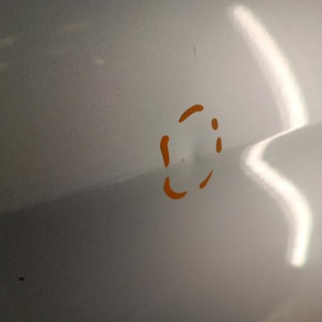 Porte arriere droit CITROEN XSARA PICASSO