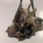 Boite de vitesses RENAULT CLIO 2