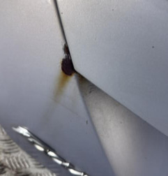 Malle/Hayon arriere FORD FOCUS 3