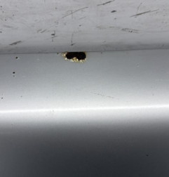 Capot RENAULT SUPER 5